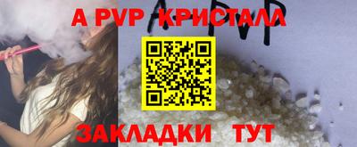 гашик Новозыбков