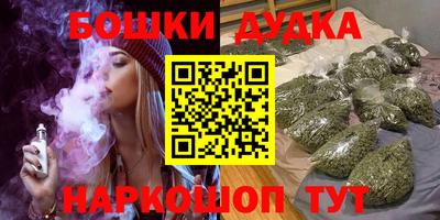 гашик Новозыбков