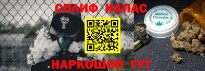 гашик Новозыбков