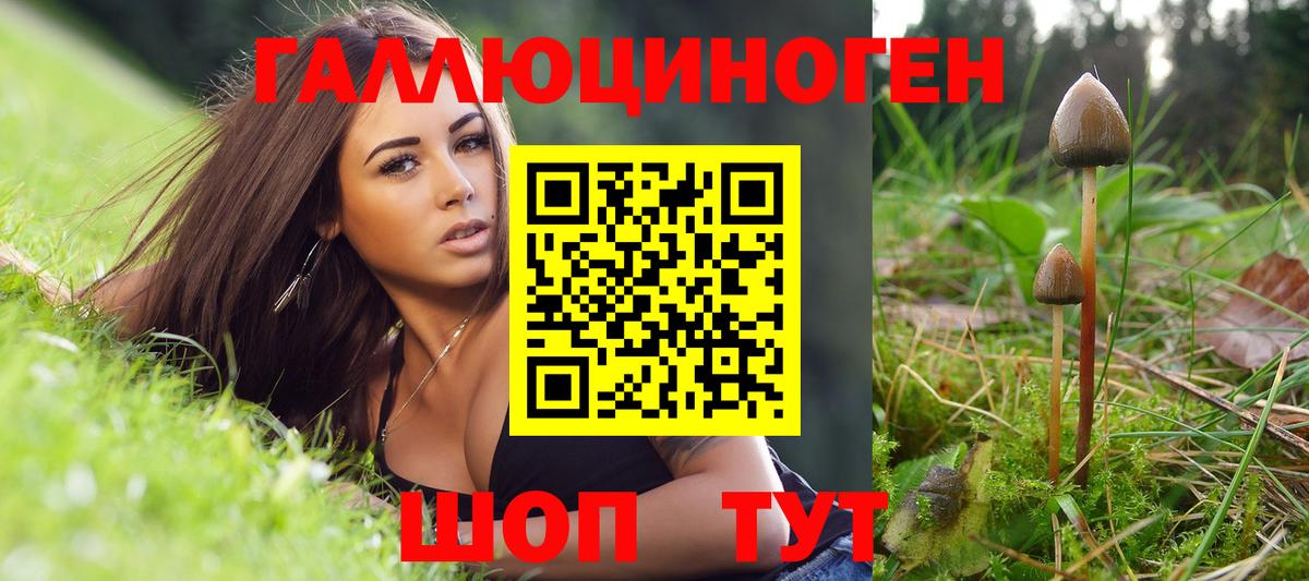 Галлюциногенные грибы Cubensis Ухта